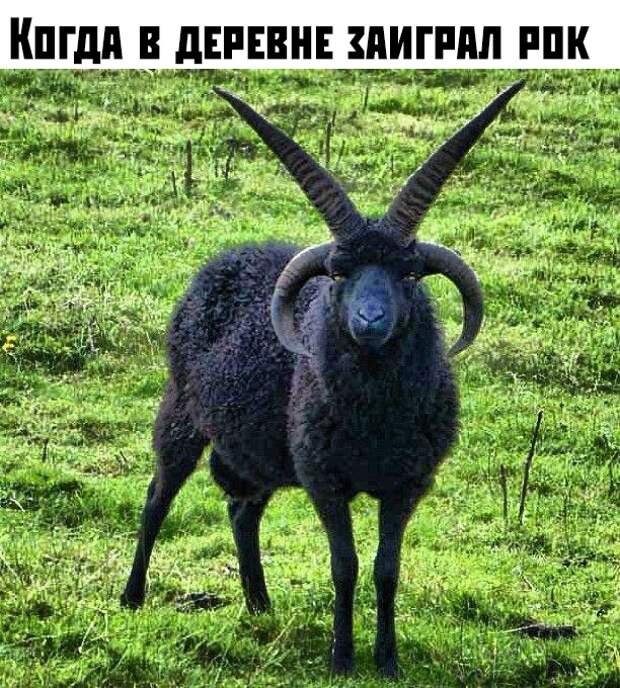 Подборка картинок. Вечерний выпуск (30 фото)
