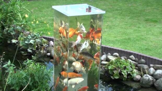 Садовый аквариум. Фото с сайта http://banoosh.com