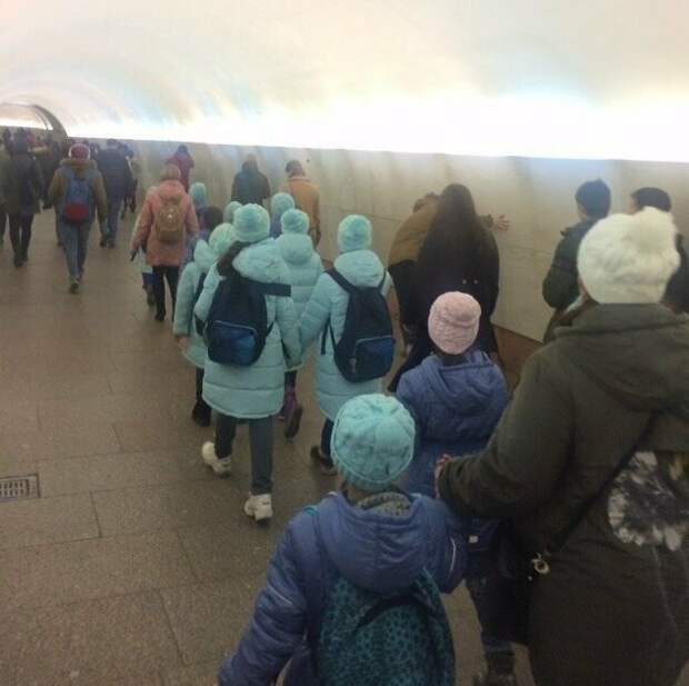 Жертвы моды, неожиданные совпадения и прочие сбои в матрице Жертвы моды, неожиданные совпадения и прочие сбои в матрице