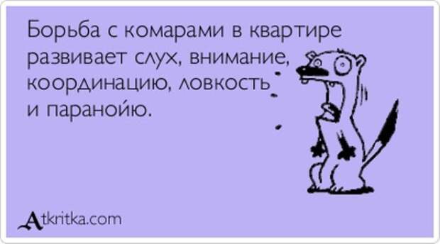 5672049_1370693307_atkrytki15 (640x356, 37Kb)