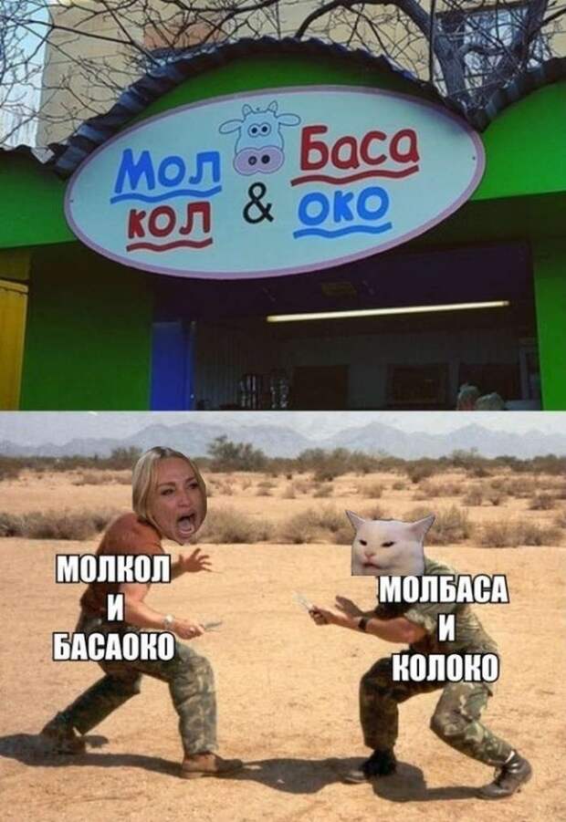 kartinok-prikolnyh-podborka-kartinki-smeshnye-kartinki-fotoprikoly