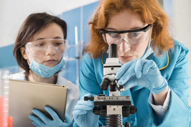 Биороботы без мозга из клеток человека заменят животных в опытах в США