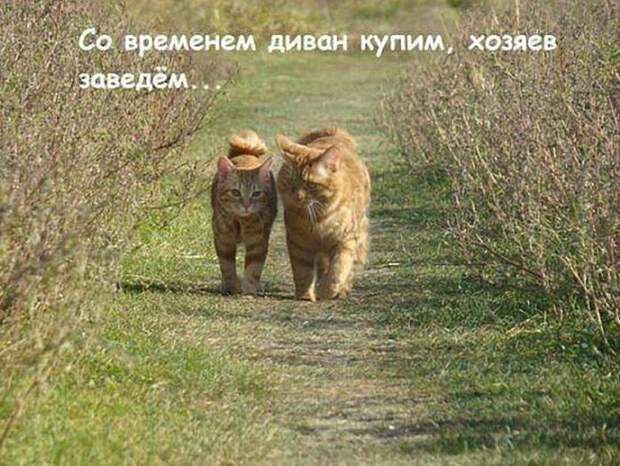 Фотоподборка вторника (55 фото)