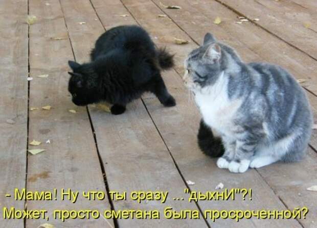 Субботний позитивчик (30 фото)