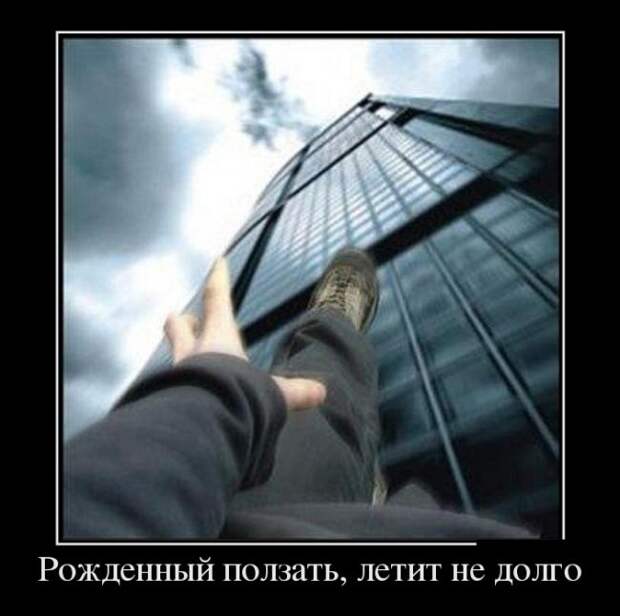 Подборка забавных и смешных демотиваторов для настроения (11 фото)