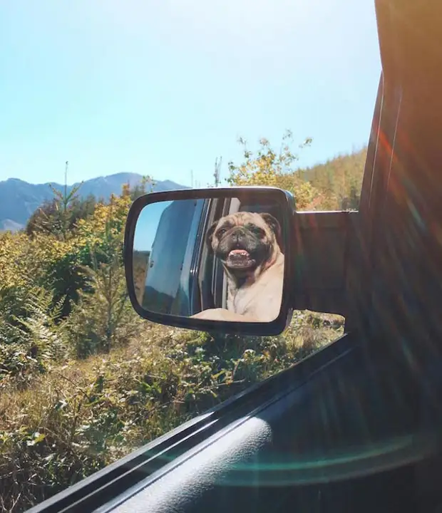 В дорогу! Фото: Jeremy Veach. В дорогу! Фото: Jeremy Veach.