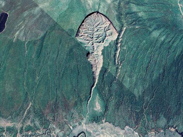 Головастик /Фото:dzen.ru