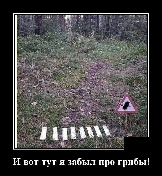Демотиваторы Демотиваторы