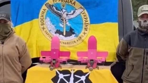 Министерство обороны устроило кошмар для ВСУ: даже майданщица возмущена