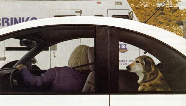 Dog in Car (end