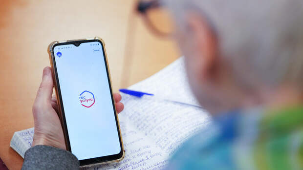 ЛДПР предложила сообщать об эвакуации автомобилей через "Госуслуги"