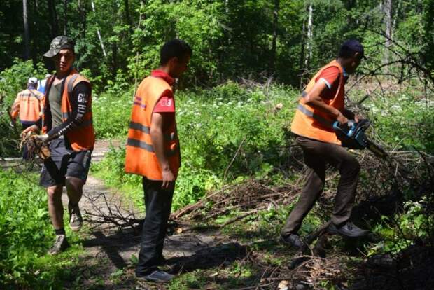 Поводом для начала работ стала жалобы жителей мэру Москвы Сергею Собянину / Фото: Александр Кочубей, «Звездный бульвар»