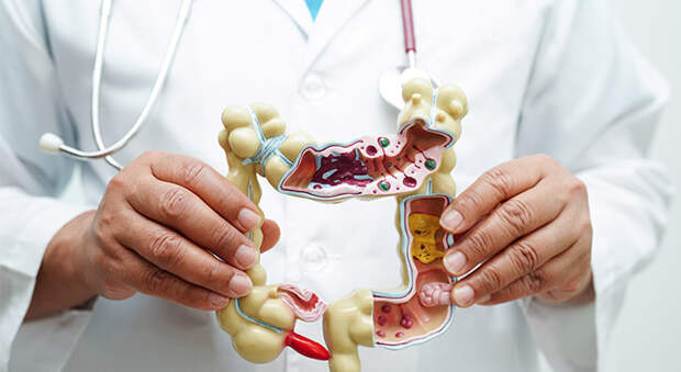 Какие болезни лечит проктолог и как подготовиться к приему: объясняет врач