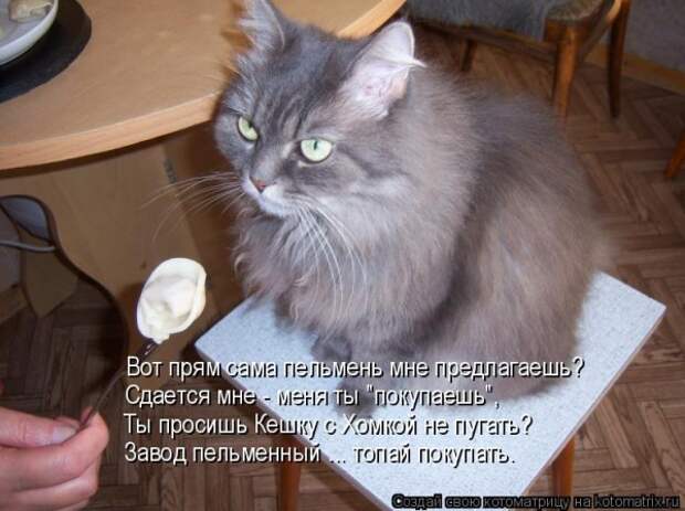 Мысли вслух :)