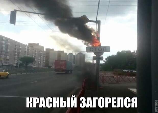 Смешные картинки