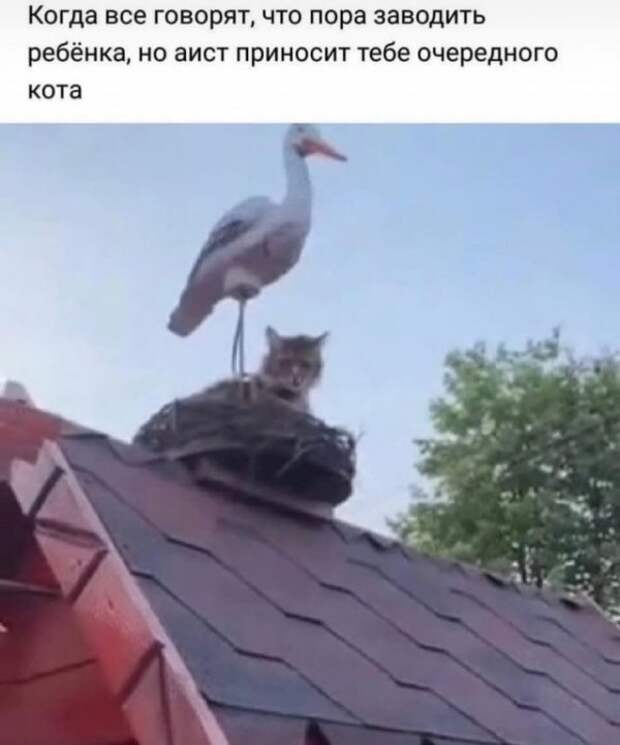 Так себе картинки