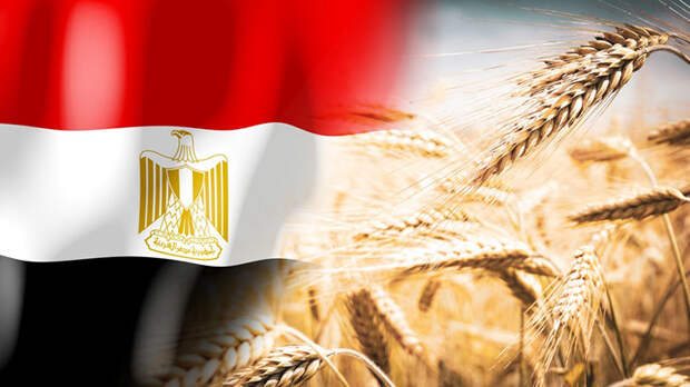 Каир – наш! Египет меняет Украину на Донбасс