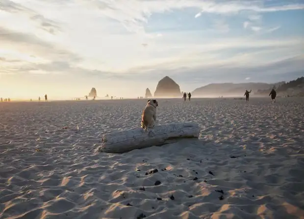 Вечером на пляже. Фото: Jeremy Veach. Вечером на пляже. Фото: Jeremy Veach.