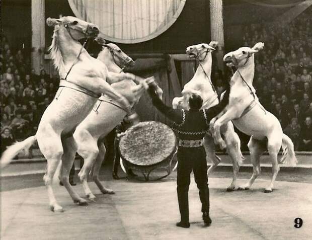 Советский цирк (17 фотографий), photo:8