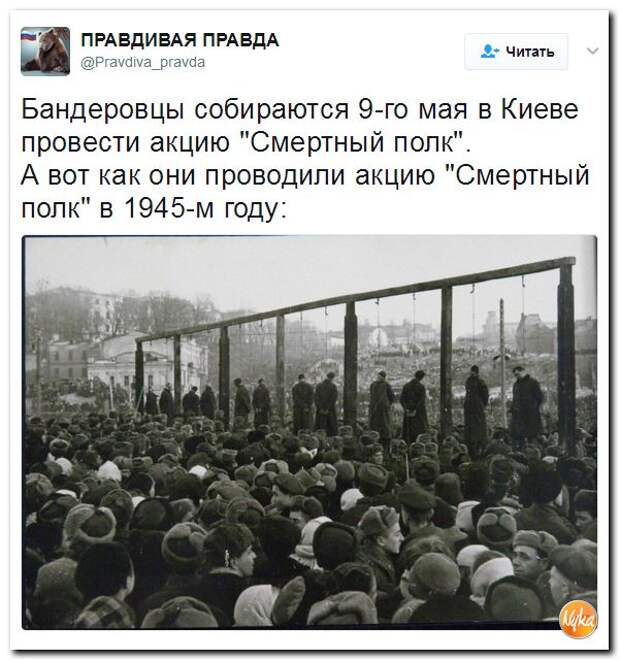 Верный правда. Казнь фашистов Киев 1946. Казнь фашистов в Киеве в 1946 году. Казнь предателей в Киеве 1946. Казнь бандеровцев в Киеве 1946.