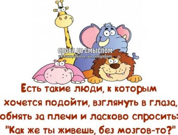 Каждая фраза как жизнь...