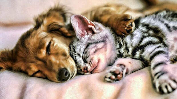 источник фото: besthqwallpapers.com