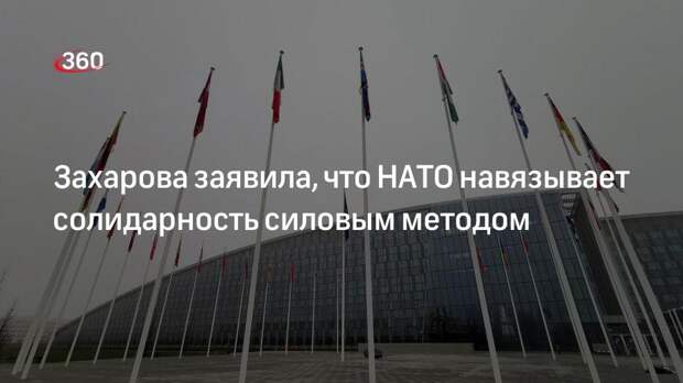 Захарова: в НАТО нет солидарности, общности взглядов и единства