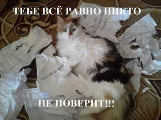 Октябрьские шутки.