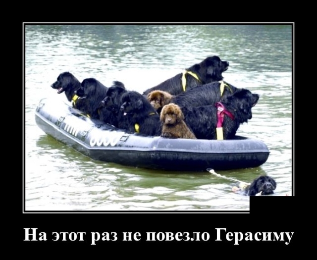Демотиваторы