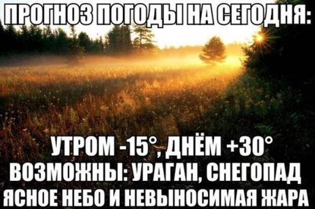 Прикольные картинки понедельника (31 шт)
