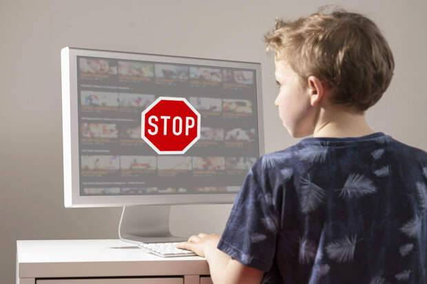 В России предложили выделить понятие "деструктивный контент" в законе