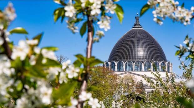 Синоптик Леус: в начале апреля в Москве будет на 6–8ºС теплее нормы