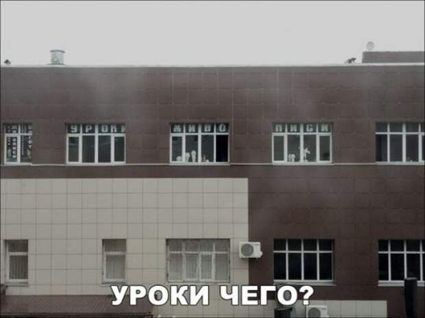 Прикольные фотомемы на Бугаге (25 шт)
