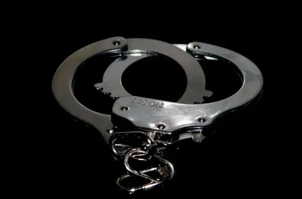 Пожилого краеведа задержали за изнасилование ребенка в Гатчинском районе