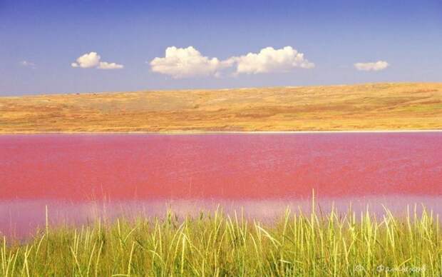 Красивые озера КРЫМА! озеро, крым