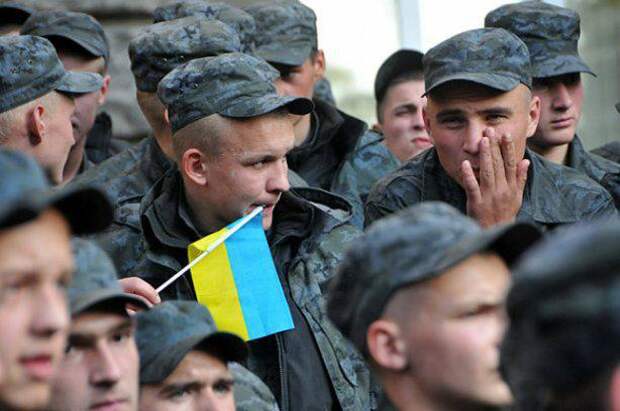 Хитрый ход: киевский режим готовит массовое отчисление студентов для их отправки в ВСУ