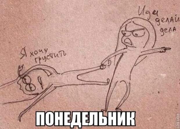 Забавные фотомемы (23 шт)