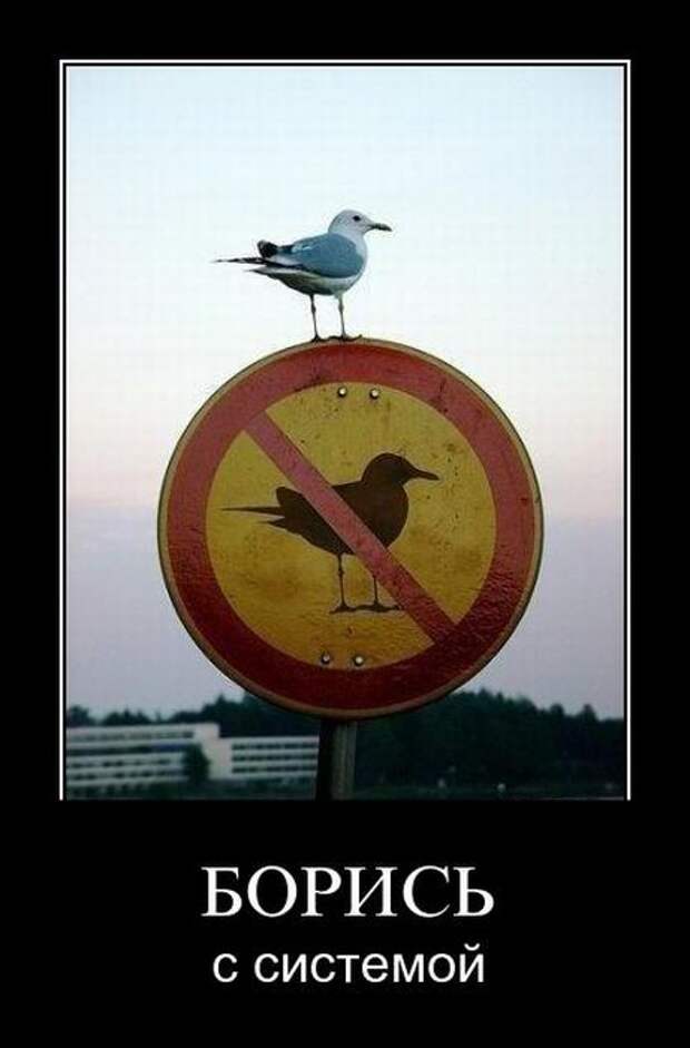 Демотиваторы (26 фото)