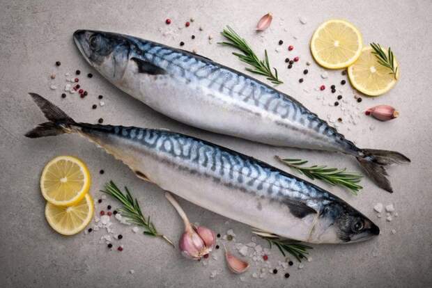 Привыкли давать кошкам молоко и рыбу? Зря! 10 продуктов, опасных для здоровья питомца