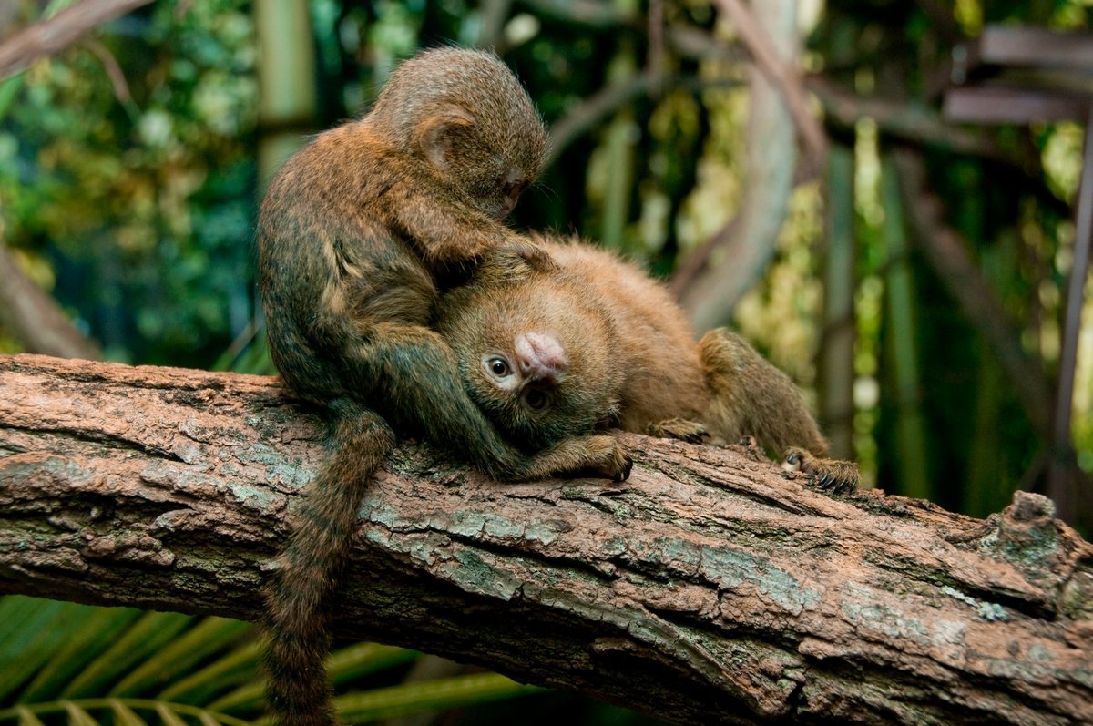 http://img-fotki.yandex.ru/get/9505/137106206.43a/0_e6ffa_70cd2295_orig.jpg