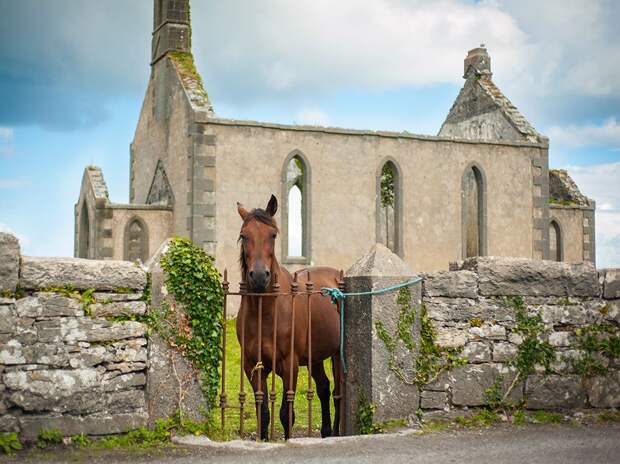 ireland-church-horse_94615_990x742