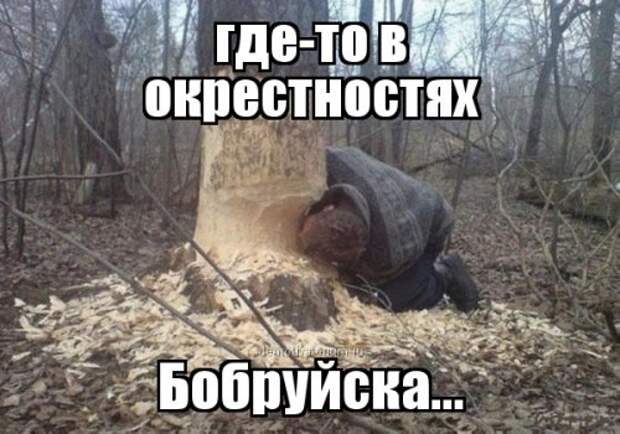 Немного анекдотов для хорошего настроения (11 шт)