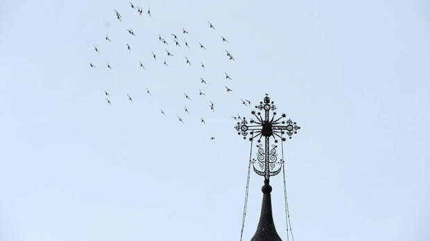 Фото: © L!FE/Динар Шакиров