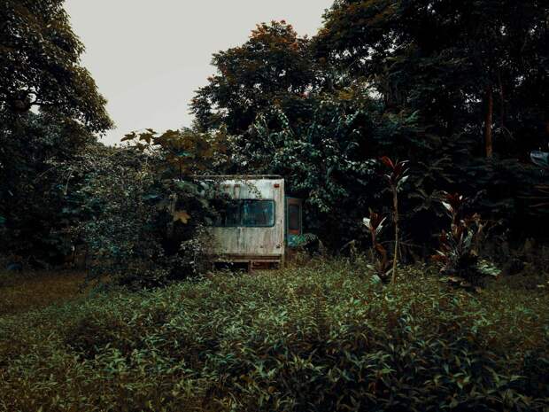 Фотография: Брошенные тачки в гавайских джунглях: фотопроект Томаса Строгальски №6 - BigPicture.ru