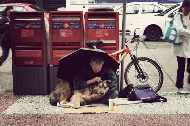 dogs_dont_care_about_money_all_they_need_is_love_640_13