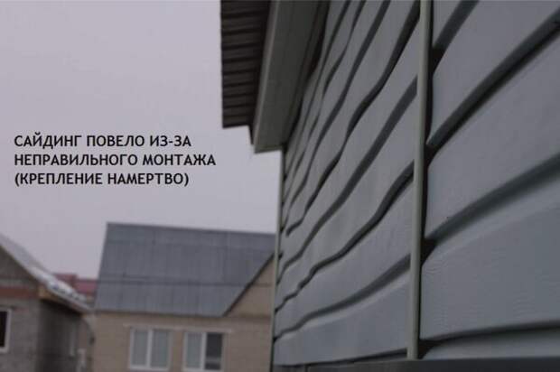 Источник изображения: Яндекс Картинки