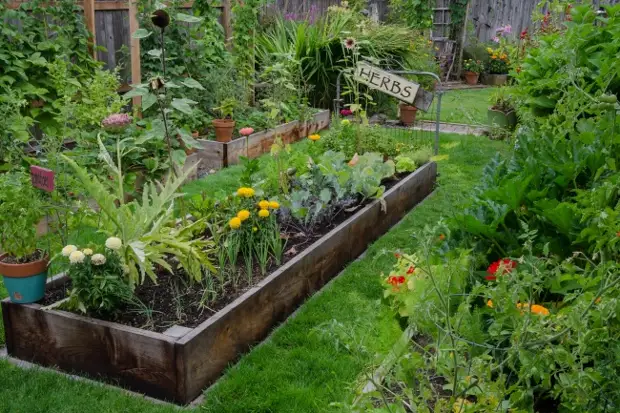 11 оригинальных идей для дачи, о которых мечтает любой садовод
