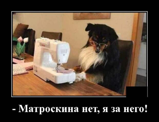 Демотиваторы (20 фото)