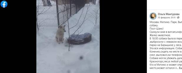 Жители Митина проявили неравнодушие к судьбе замерзающей собаки