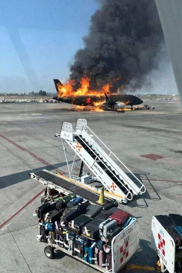 После убийства наркобарона в Мексике там началась Гражданская война